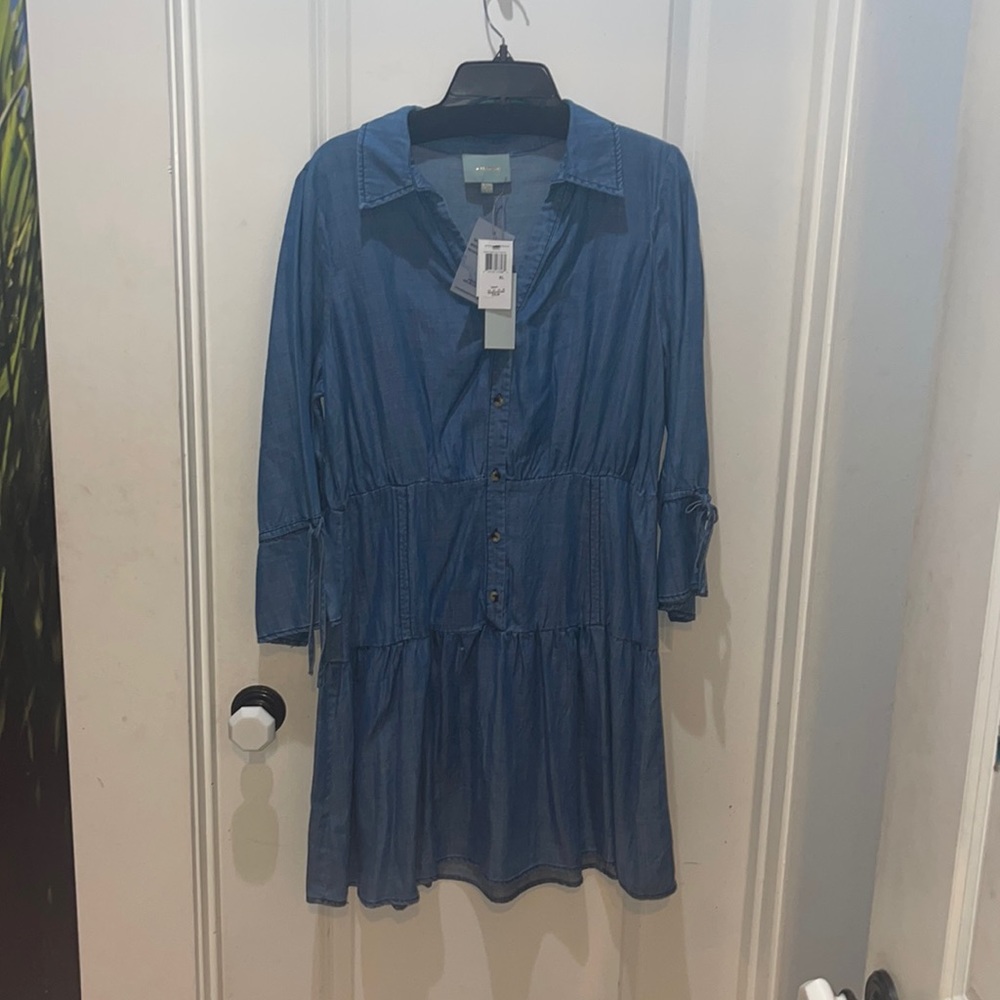 Skies Are Blue dress bought at Dillard’s size XL
